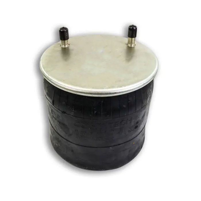 Air Springs (Complete With Pistons) - 788753-C