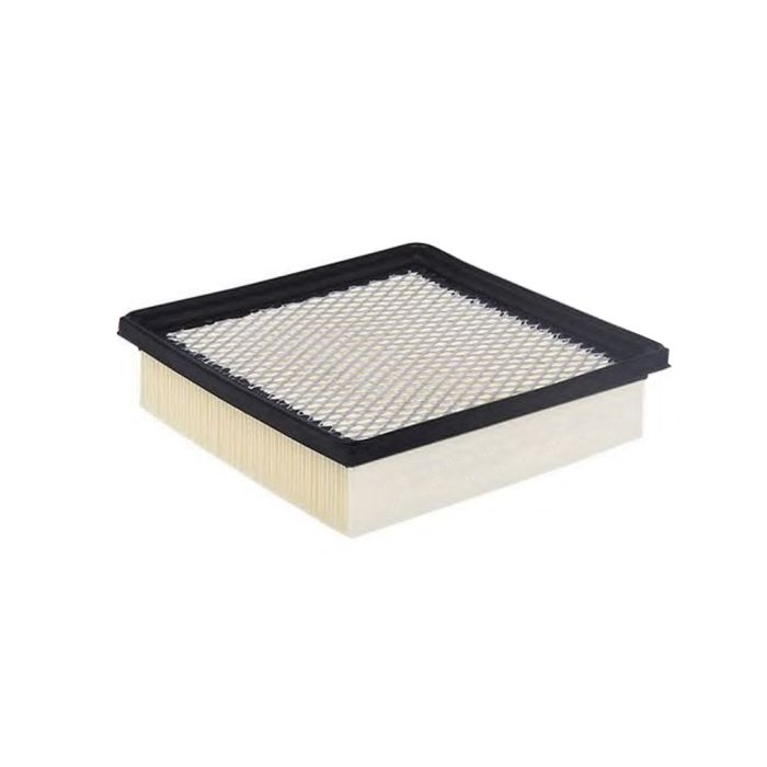 AIR FILTER - 17220-P2J-001