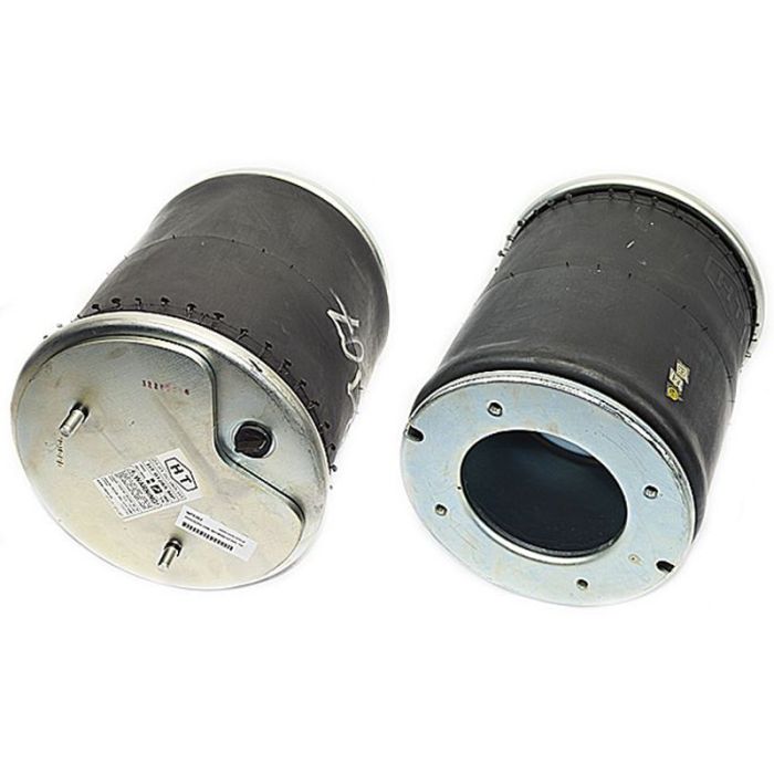 Air Springs Complete With Pistons - 788107-C