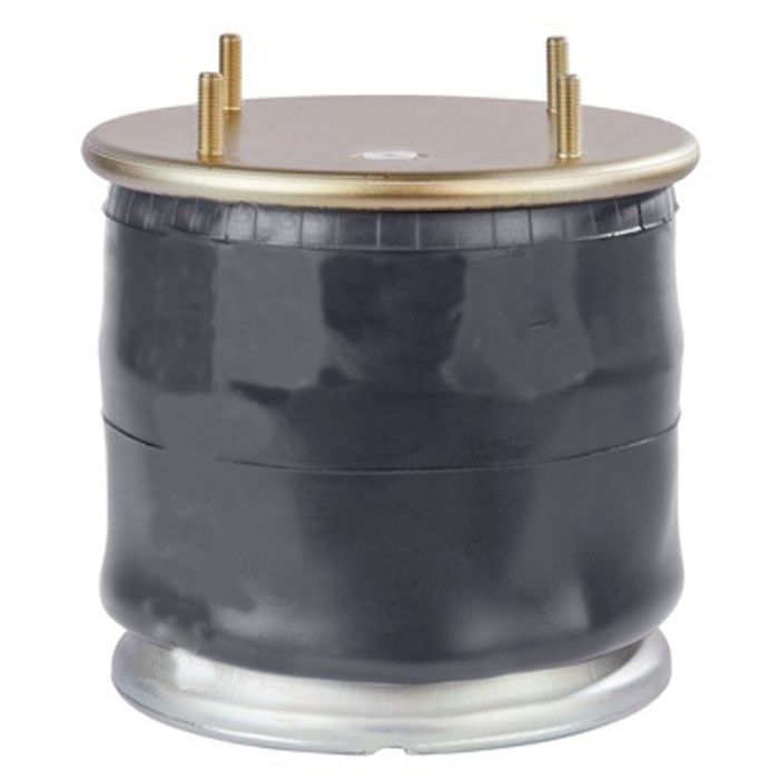 Air Springs Complete With Pistons - 78810-CPL