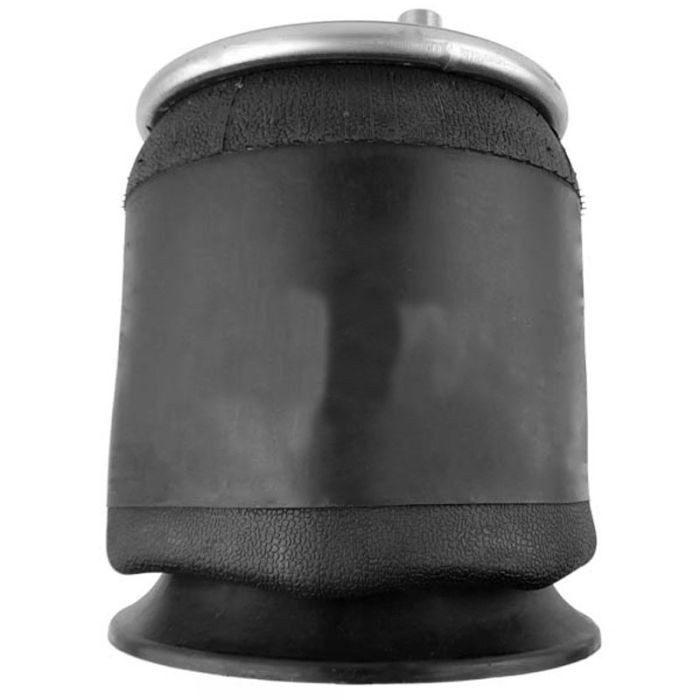 Air Springs Complete With Pistons - 787313-C