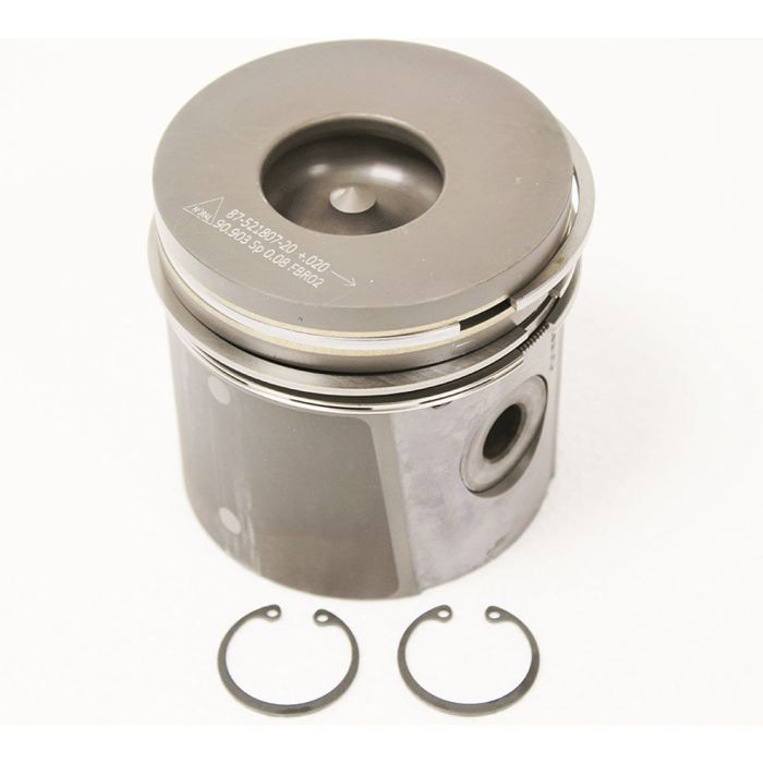 Piston and Rings - STC298220