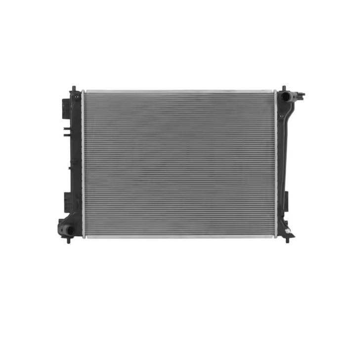 Radiator Assembly - 25310-D3500