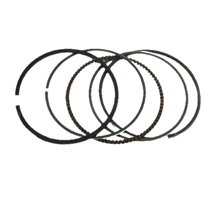 Piston Ring - VEGAF