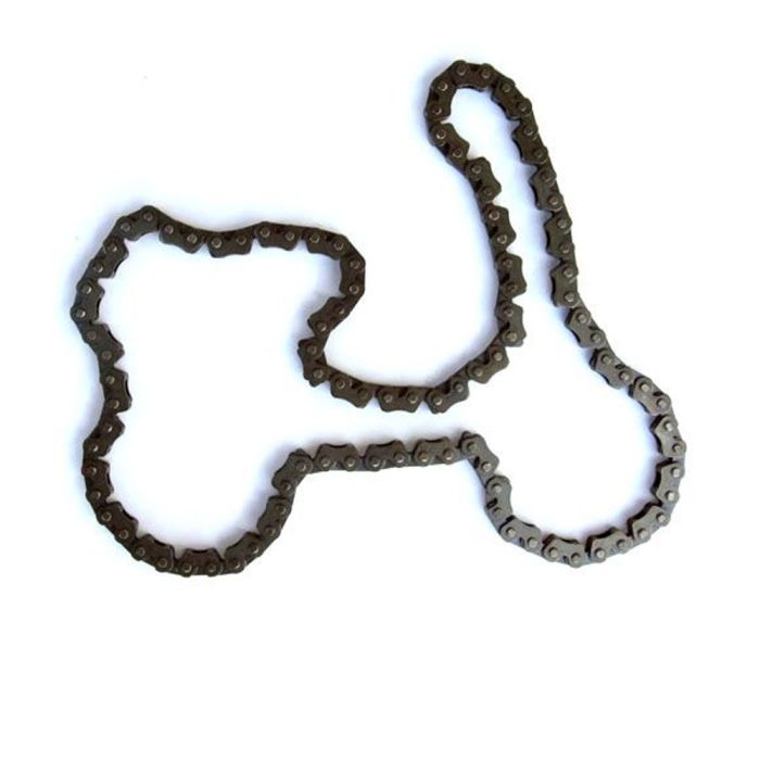 Camshaft Drive Chain - P182723R