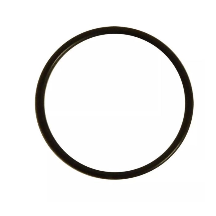 Yamaha O-Ring (1WG) - 932103273800 AR