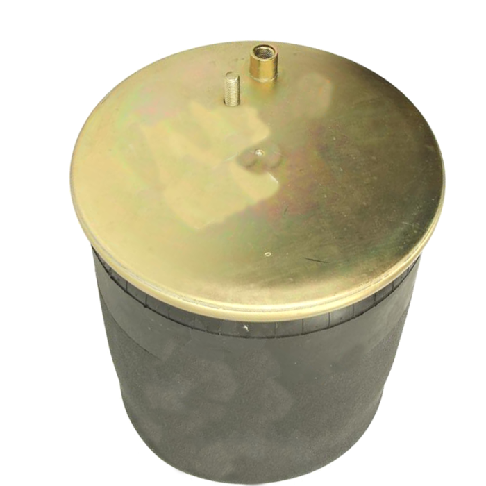 Air Springs Complete With Pistons - 784916-C