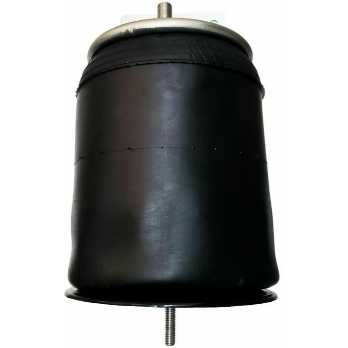 Air Springs Complete With Pistons - 789648-CPL