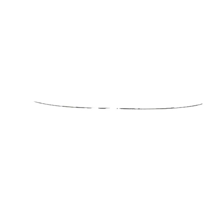 Strip Of Rear Bumper (Middle) - FT01-0808B-02