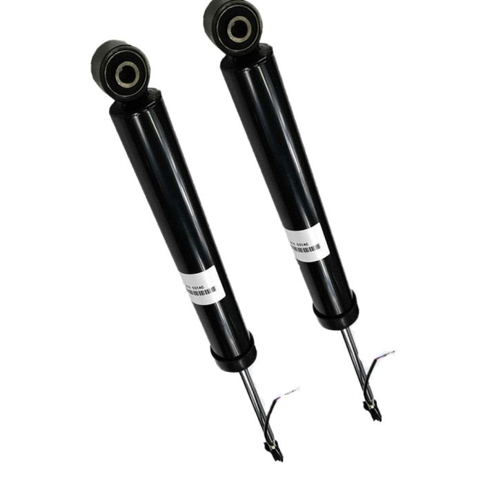 Rear Shock Absorber (Set) - 4G06160031AE
