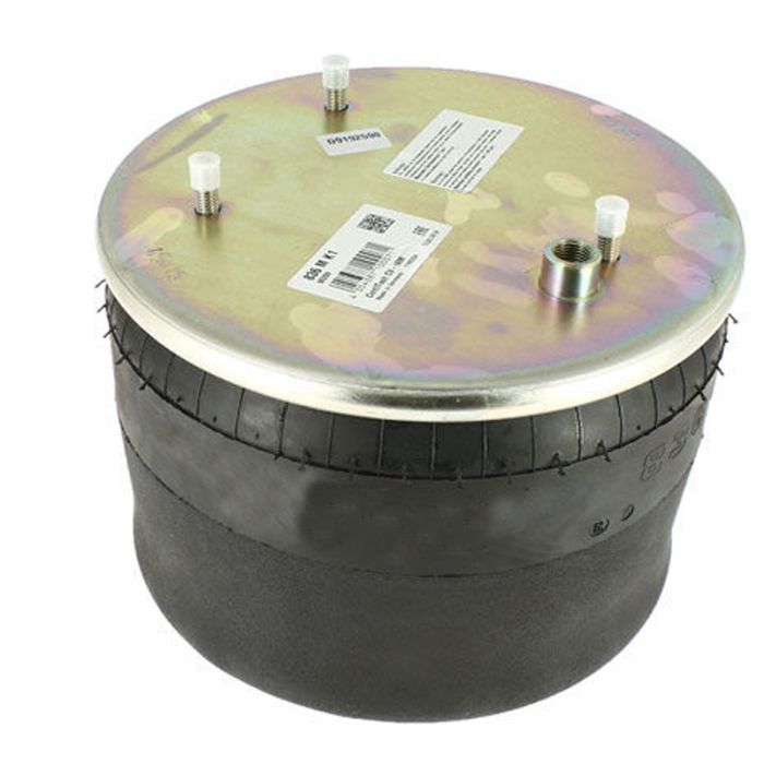 Air Springs Complete With Pistons - 78836-C