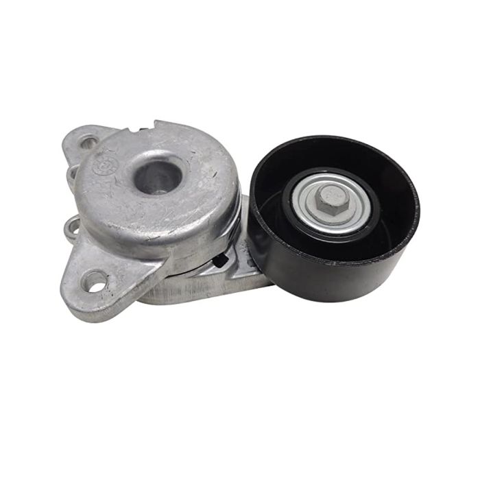 Tensioner Assembly - 11955-3JA0A