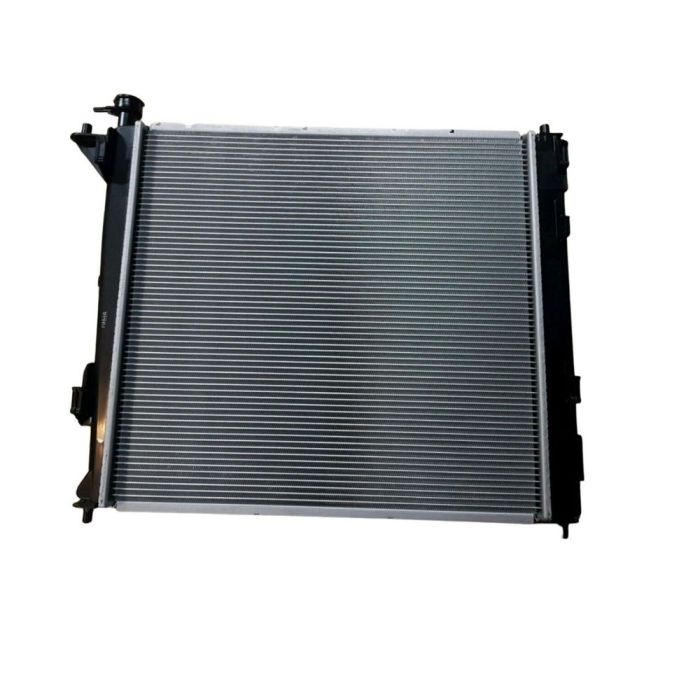 Radiator Assembly - 253102B900