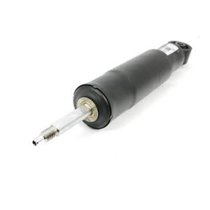 Briscoe Shock Absorber - 48510-69355