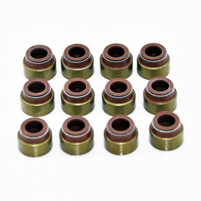 Howo Truck Valve Seal (Set) - VG1246050027