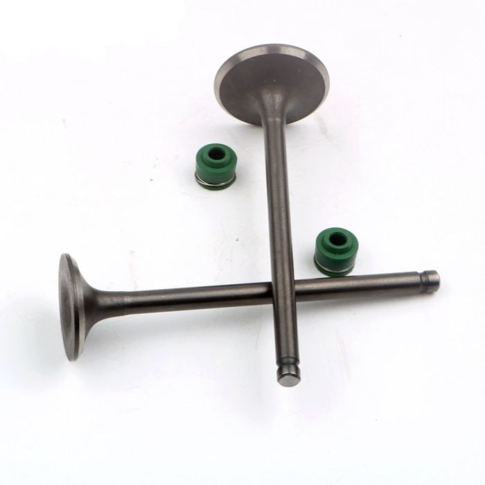 Engine Valve - 48900 - 22433