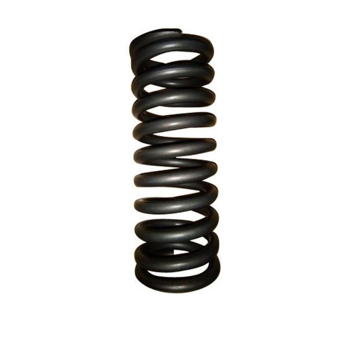 Rear Suspension Spring- J3444899932