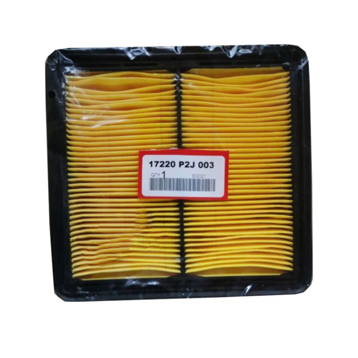 Air Filter- 17220-P2J-003