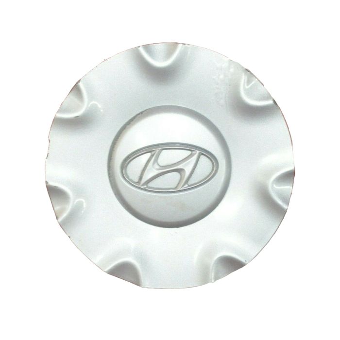 Wheel Cover (Small) - FT04-05104B