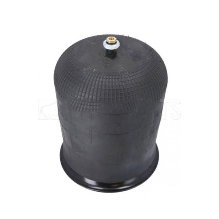 Air Springs Complete With Pistons - 784737-25C